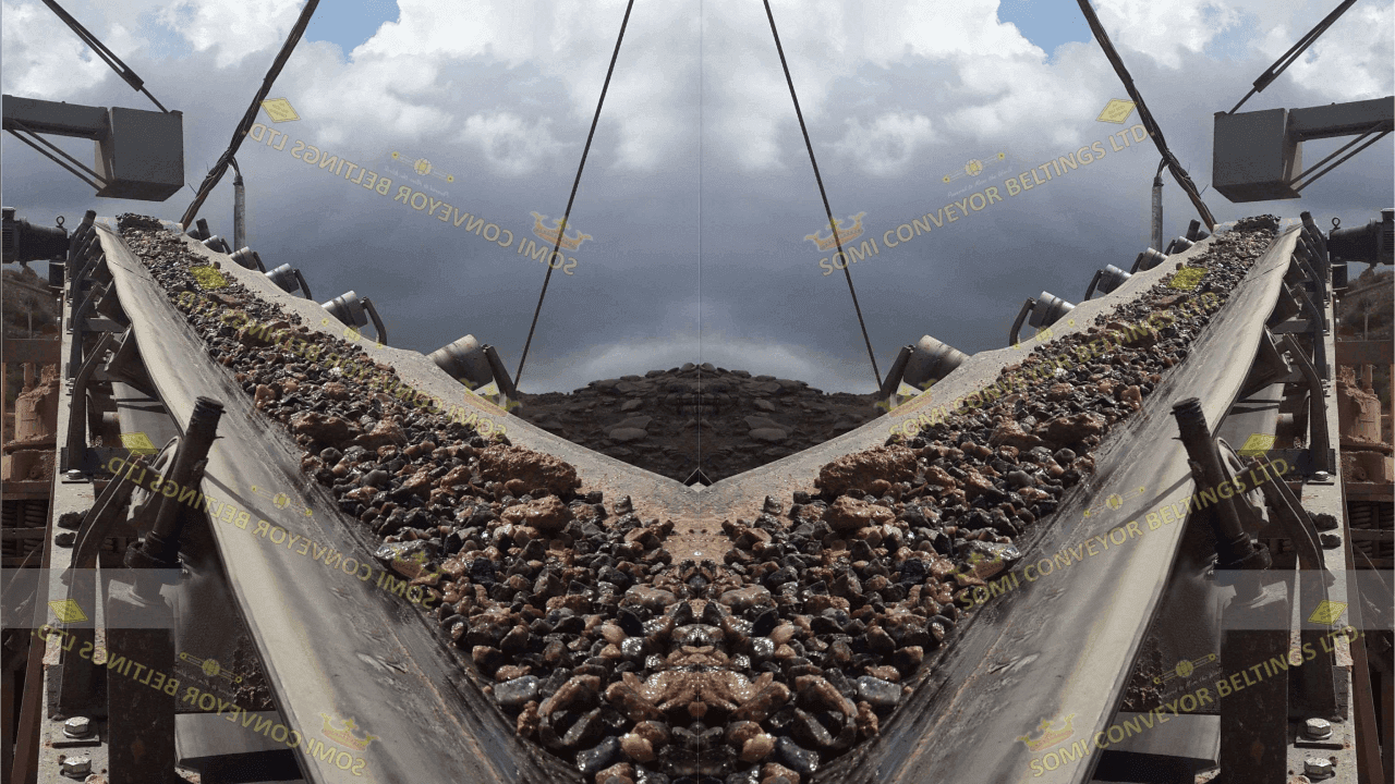 General Purpose Belt M-24 – Industrial Conveyor
