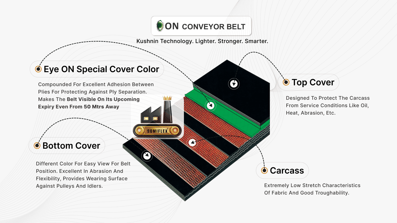 eye-on-conveyor-belt-diagram.png