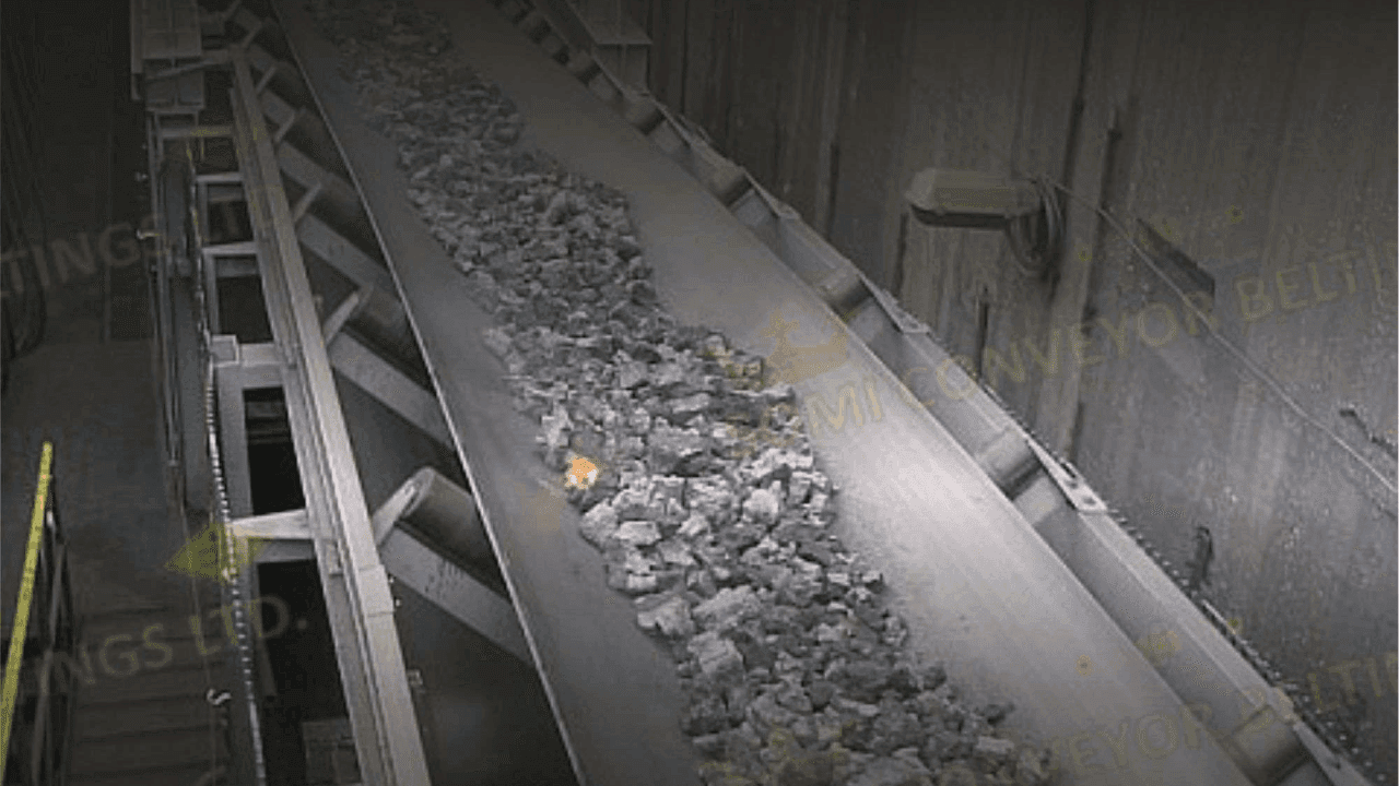 Heat Resistant Conveyor Belt – SHR Grade
